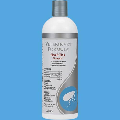 The Best Flea Shampoo for Dogs A Product Review