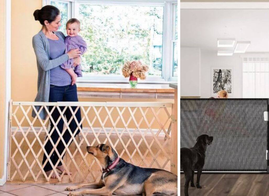 The Best Retractable Dog Gate a Pawfect Barrier for Your Pooch!