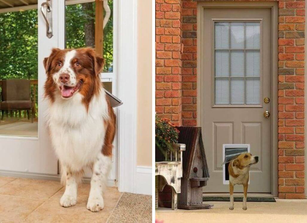 Which Type of Dog Door is Best for Your Pet?